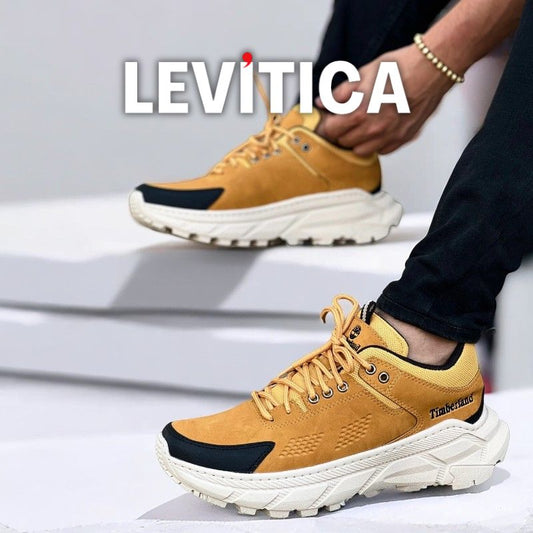 TrukStep LEVITICA