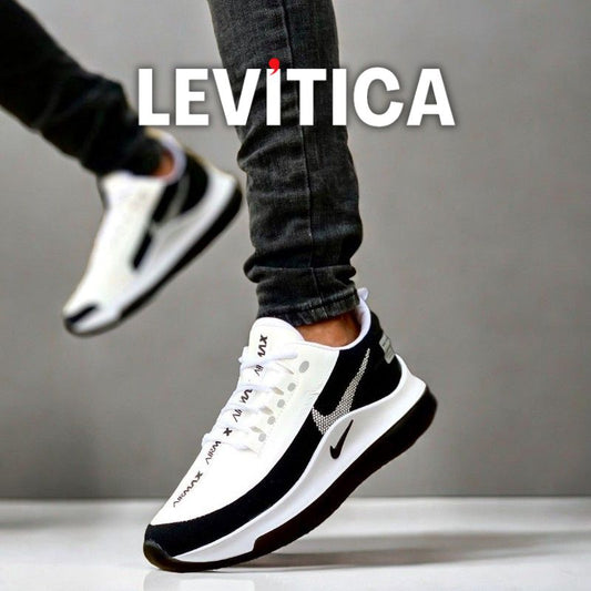 Dash LEVITICA