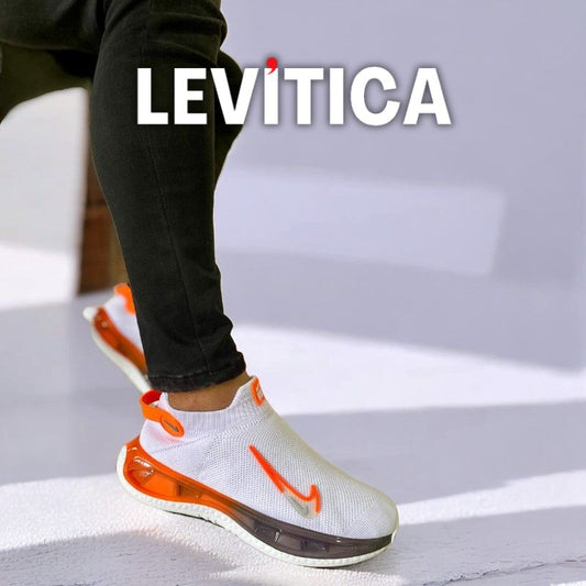 UpFlow LEVITICA