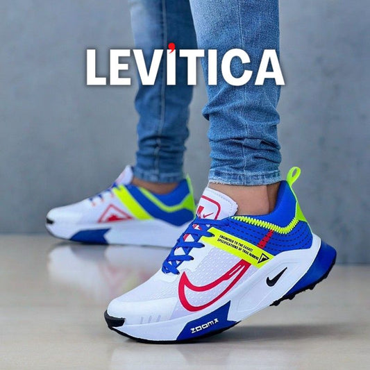 SpeedRun LEVITICA